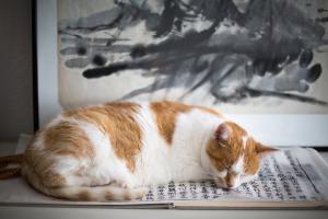 Dry cognition cannot help your life