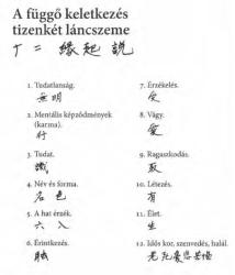 A függő keletkezés tizenkét láncszeme