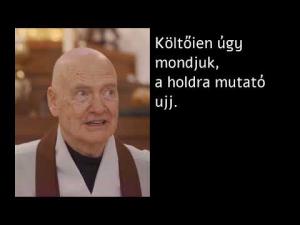Embedded thumbnail for Dae Kwang zenmester: Közvetlen megtapasztalás